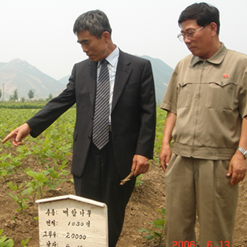 2006년 6월 백합나무 - 민경련 김태일 과장님 입니다.